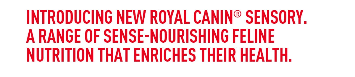INTRODUCING NEW ROYAL CANIN® SENSORY. A RANGE OF SENSE-NOURISHING FELINE NUTRITION THAT ENRICHES THEIR HEALTH.